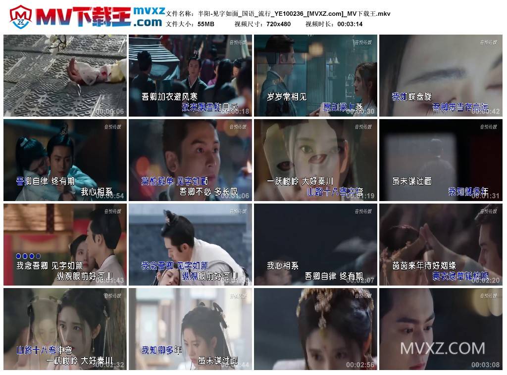 半阳-见字如面_国语_流行_YE100236